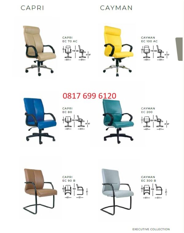 Kursi Kantor Chairman CAPRI EC - 70 AC, EC - 80, EC - 90 B, EC - 100 AC & CAYMAN EC - 100 AC, EC - 200, EC - 300 B, EC - 400 C