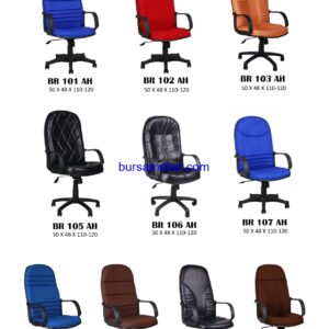 BR 101 AH, BR 102 AH, BR 103 AH, BR 105 AH, BR 106 AH, BR 107 AH, BR 111 AH, BR 112 AH, BR 113 AH, BR 114 AH