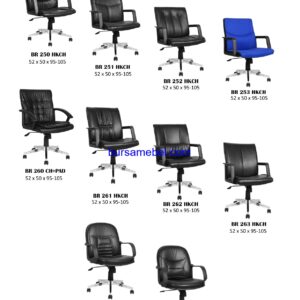 BR 250 HKCH, BR 251 HKCH, BR 252 HKCH, BR 253 HKCH, BR 260 CH+PAD, BR 261 HKCH, BR 262 HKCH, BR 263 HKCH, BR 271 HKCH, BR 272 HKCH