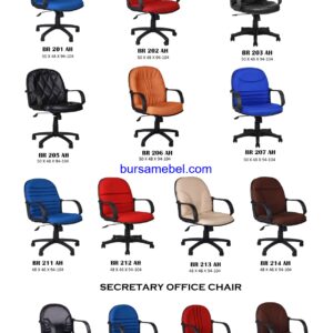 BR 201 AH, BR 202 AH, BR 203 AH, BR 205 AH, BR 206 AH, BR 207 AH, BR 211 AH, BR 212 AH, BR 213 AH, BR 214 AH, BR 510 AH, BR 511 AH, BR 512 AH, BR 513 AH